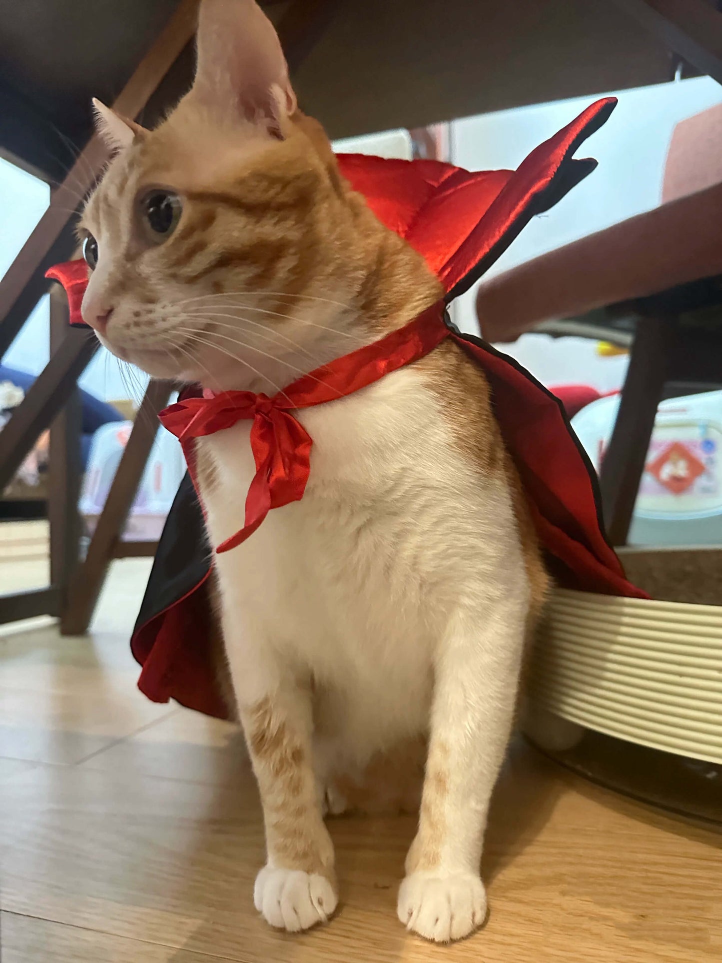 Halloween Cat Bat Costume - 3 Colors