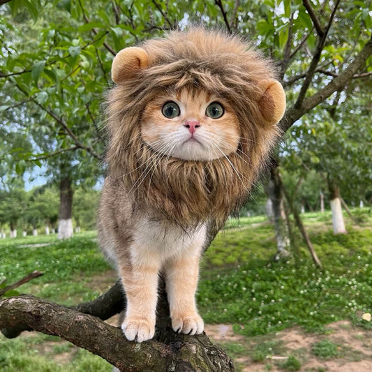 Lion Hat Costume for a Cat | Cat Costumes for Cats | Adorable Costumes for Cats