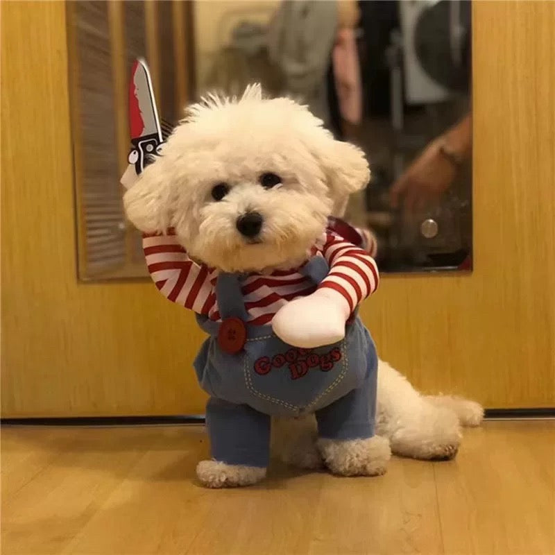 Chucky Costume for Dogs | Dog Costumes for Small Dogs | Funny Costumes for Dogs