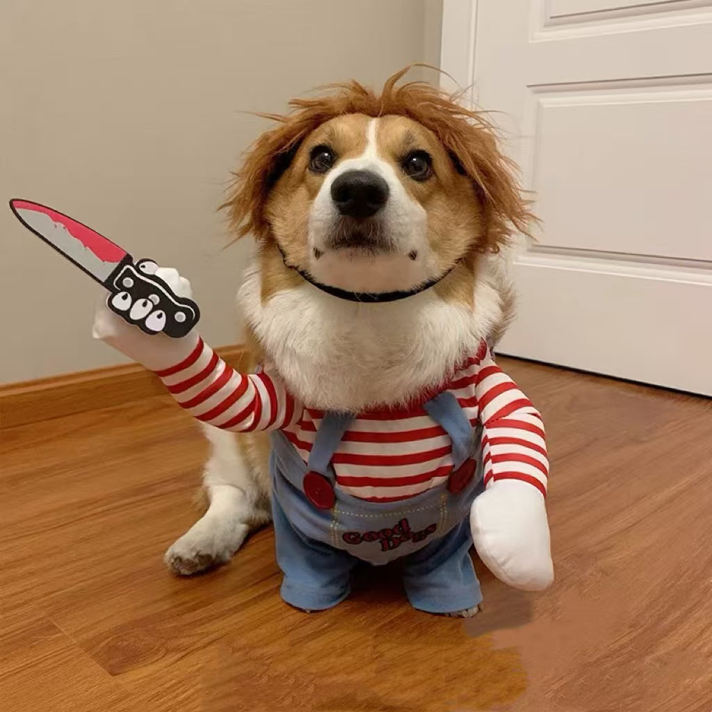 Chucky Costume for Dogs | Dog Costumes for Small Dogs | Funny Costumes for Dogs