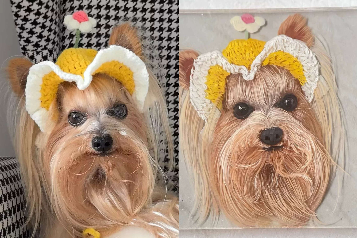 Pet Drawings From Photos | Turn Pet Photo Into 3D Portrait | Petic Grow