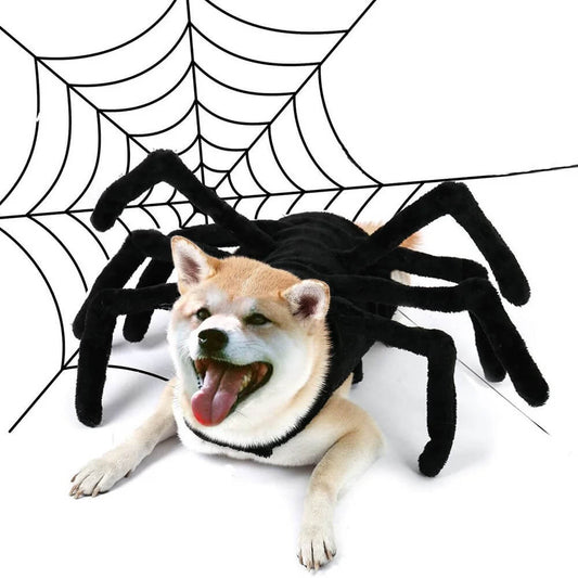 Dog Spider Costume | Spider Costume for a Small Dog | Spider Costume for Dog | Petic Grow