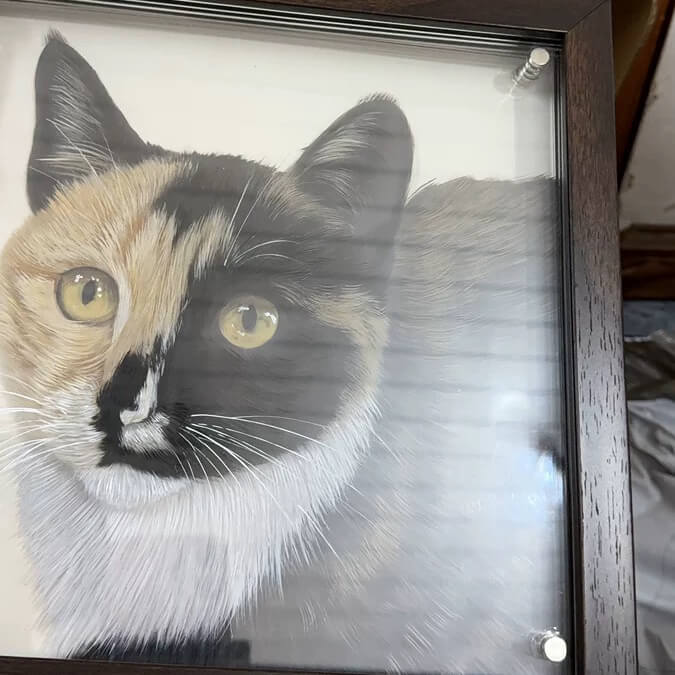 Pet Drawings From Photos | Turn Pet Photo Into 3D Portrait | Petic Grow