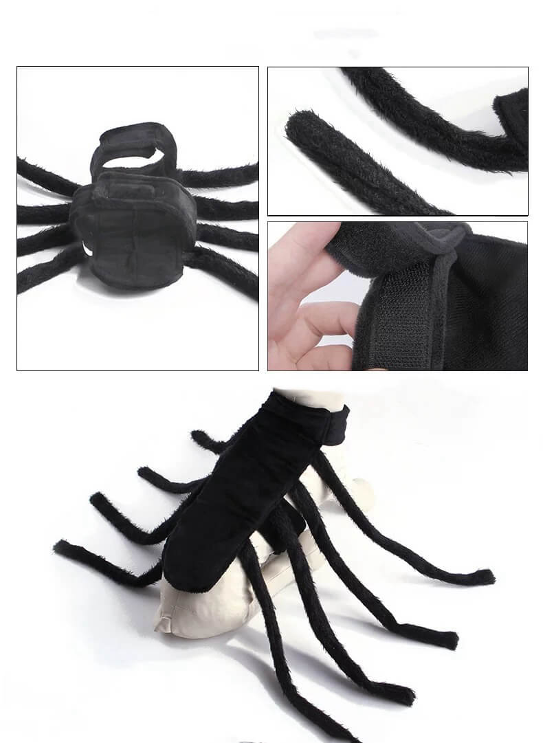 Dog Spider Costume | Spider Costume for a Small Dog | Spider Costume for Dog | Petic Grow