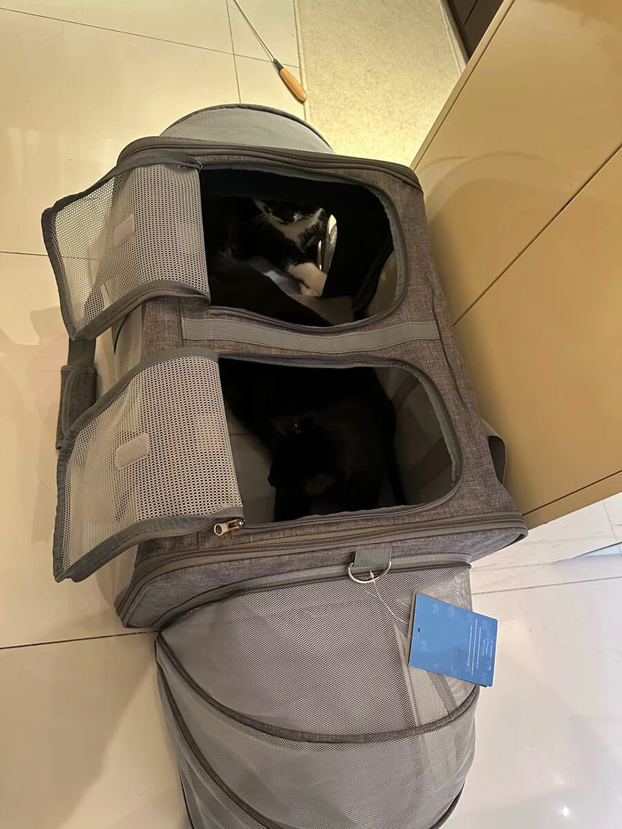 Portable Bag for 2 Pets |Cat Carriers Expandable Two Pet Carrier | 2 Pet Carrier for Car | Petic Grow