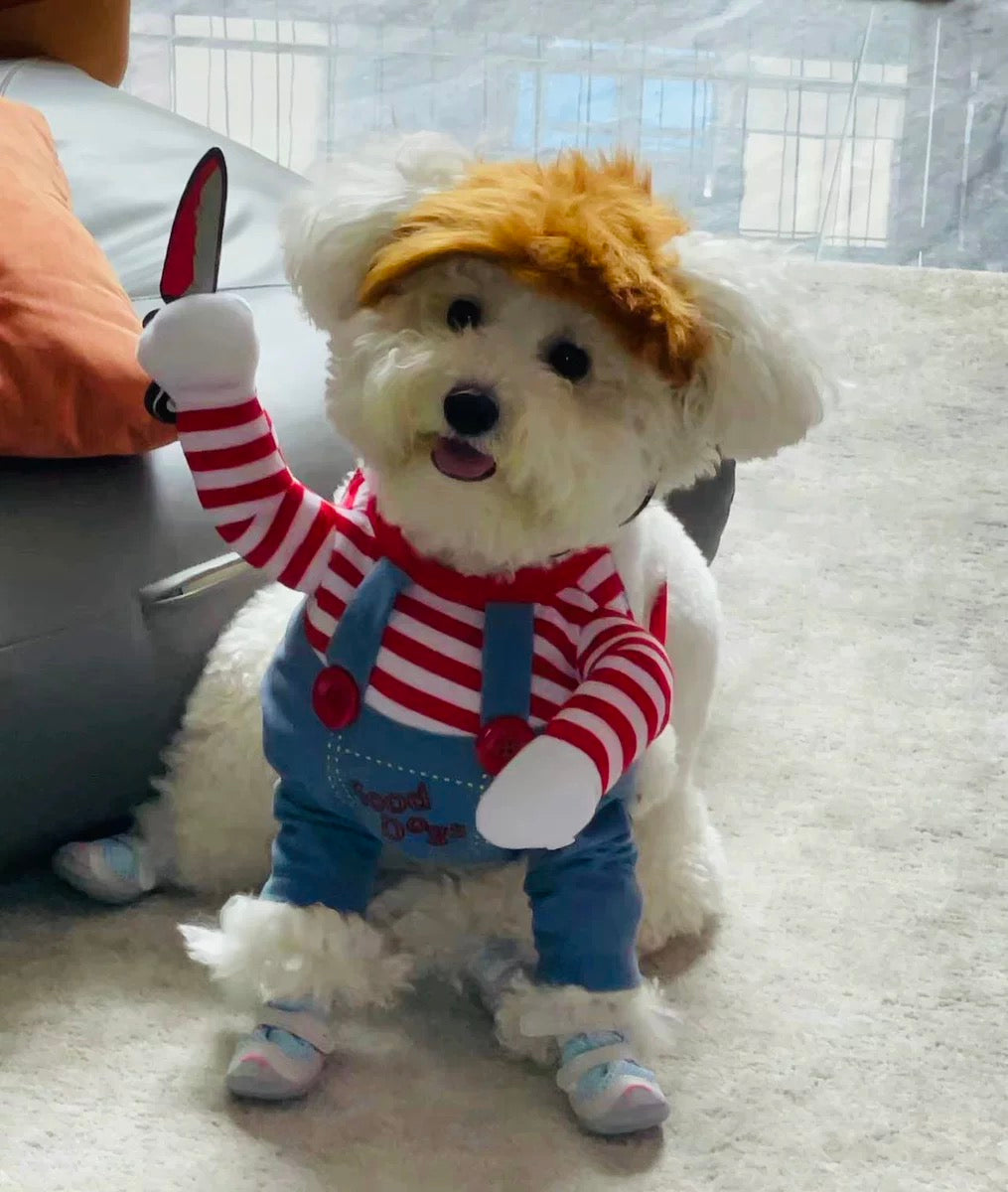 Chucky Costume for Dogs | Dog Costumes for Small Dogs | Funny Costumes for Dogs