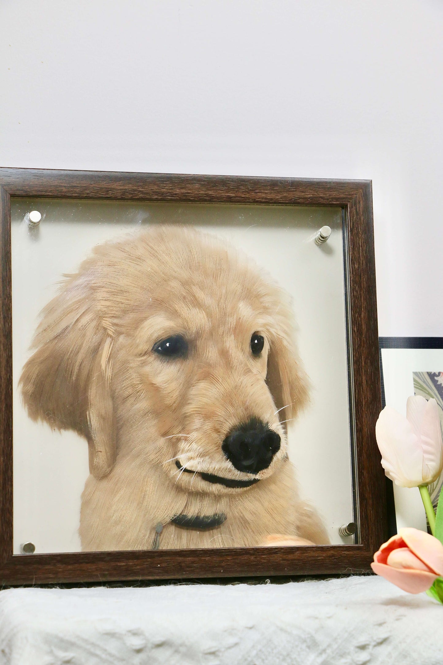 Pet Drawings From Photos | Turn Pet Photo Into 3D Portrait | Petic Grow