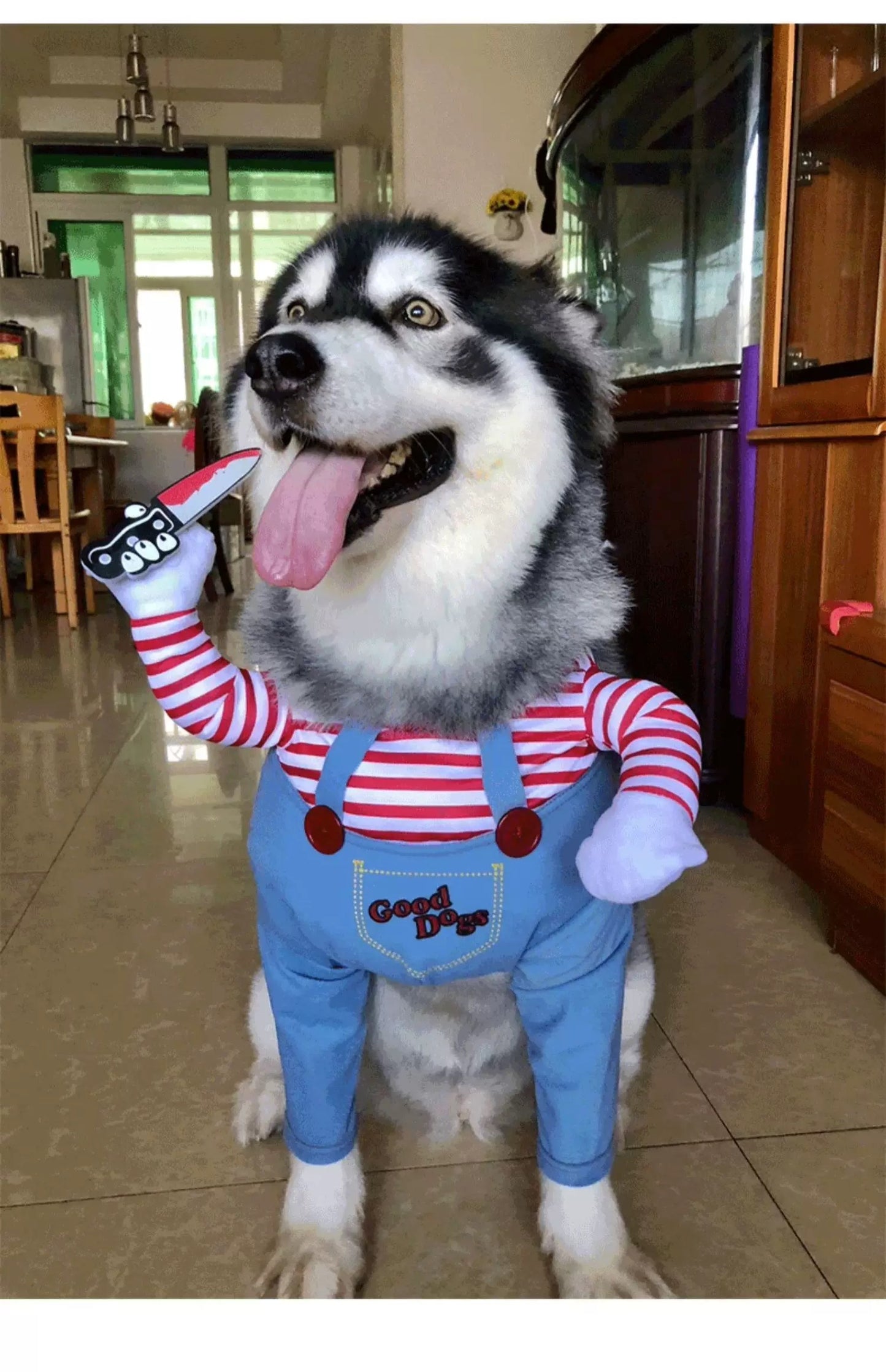 Chucky Costume for Dogs | Dog Costumes for Small Dogs | Funny Costumes for Dogs