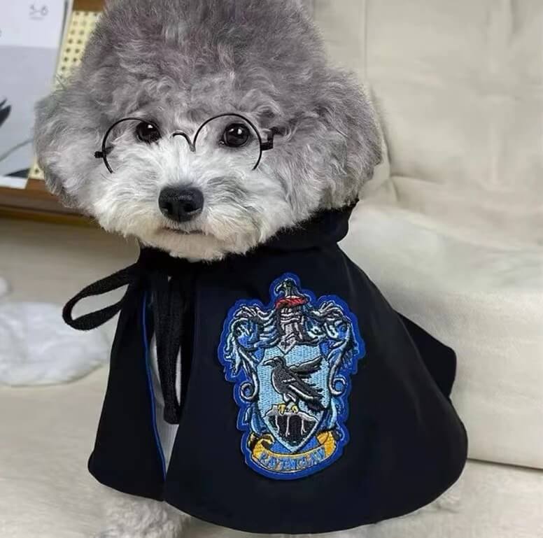 Cat Dog Costume | Harry Potter Dog Costume | Dog Cloak Costume