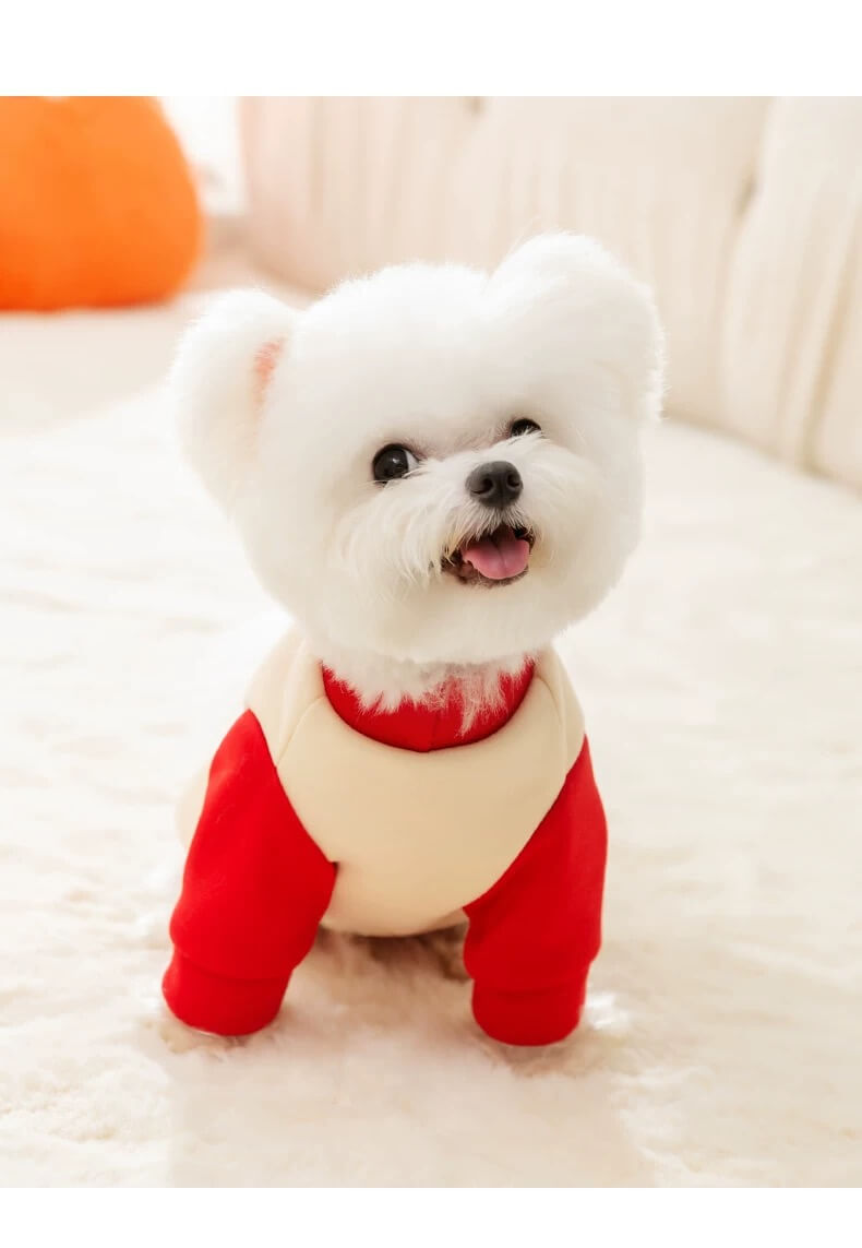 Pet Costumes for Small Dogs | Cute Costumes for Small Dogs | Funniest Small Dog Costumes | Petic Grow